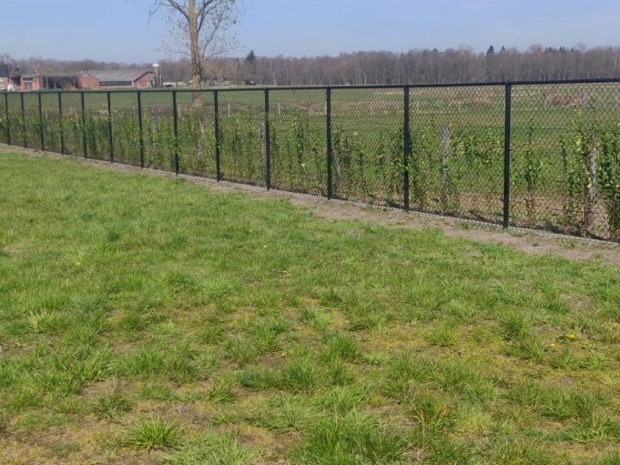 Gazonaanleg voor in de tuin - Reumers Groen, Bocholt